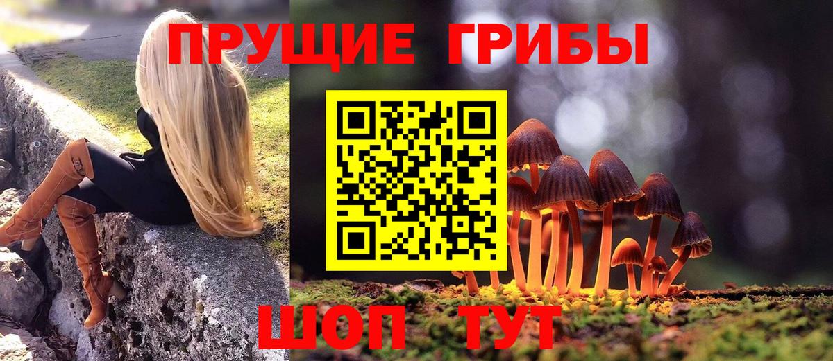 Псилоцибиновые грибы ЛСД Кудрово