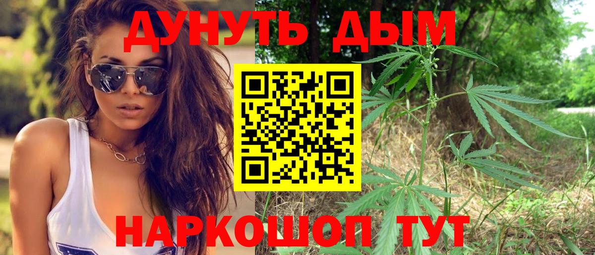 Бошки Шишки White Widow  Каннабис гибрид  Кудрово  Вход с VPN 